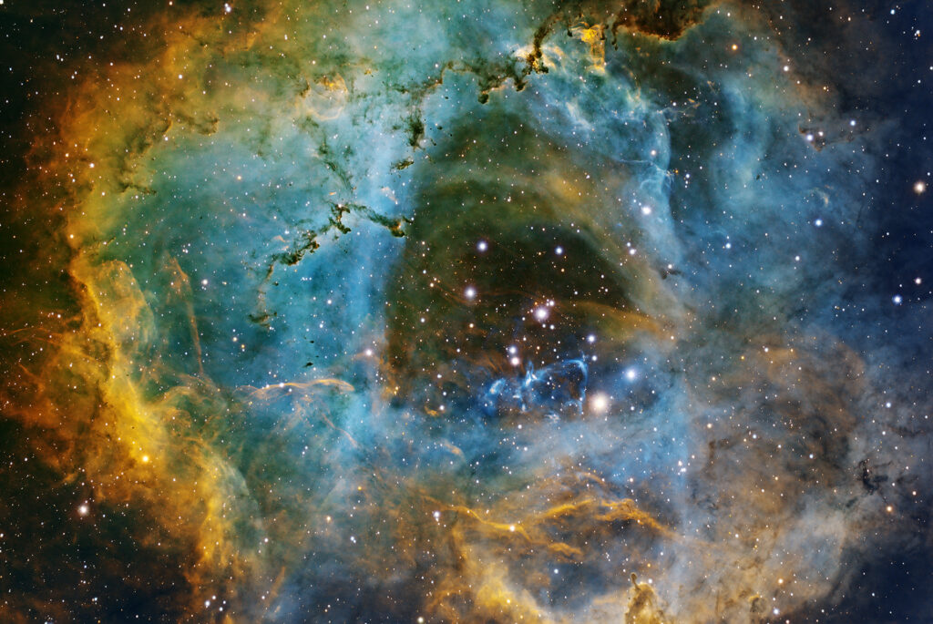 Rosette Nebula by Frank Kane