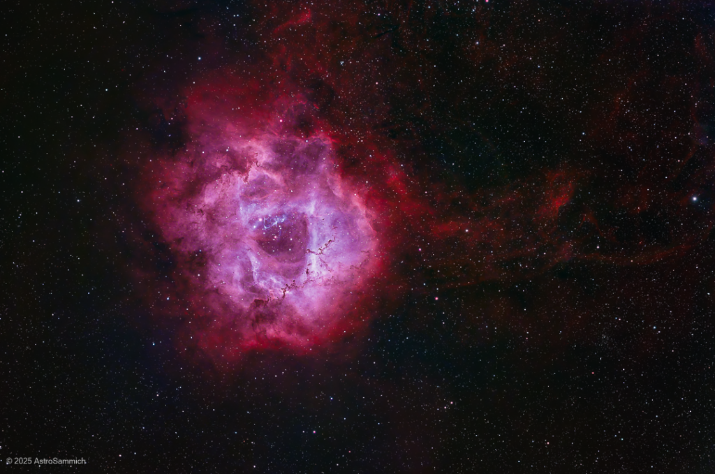 Brian Stephenson - Rosette